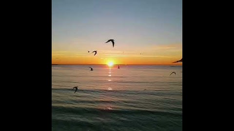 قران الكريم💚صوت جميل سبحان من رزقه هذا الصوت💚