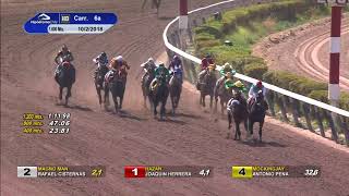 Vidéo de la course PMU PREMIO JOE BANANAS