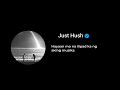 Just Hush - Co-pilot (lyrics)