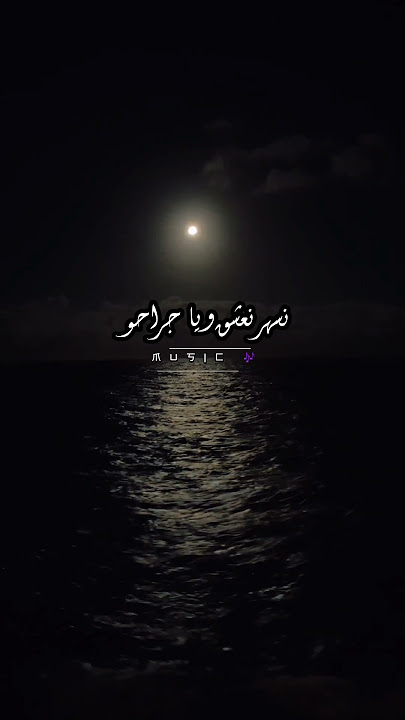 ذكريات كدابة تامر عاشور