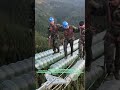 قانون الأسلاك العالية مهمة عمال الطاقة المحفوفة بالمخاطر قانون الأسلاك العالية مهمة عمال الطاقة المحفوفة بالمخاطر