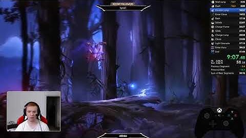 Ori DE All Skills No OOB/TA Speedrun in 41:06