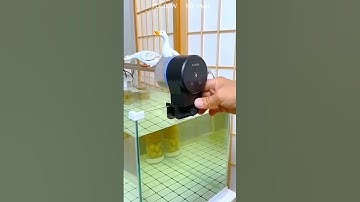 Automatic Fish Feeder | MS Mart
