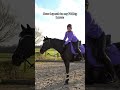 #horse #equestrianjourney #foryou #pferde