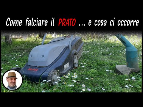 Video: Si Può Tagliare L'erba Bagnata? Utilizzo Di Un Tosaerba Elettrico, Un Tosaerba A Benzina E Un Tosaerba Dopo La Pioggia Per Tagliare Il Prato