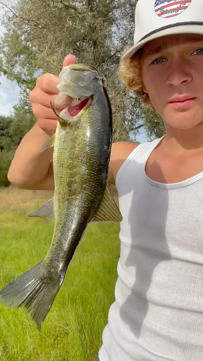 Bass fishing