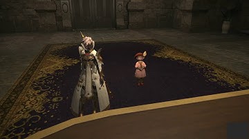 Final Fantasy XIV - An Allied Perspective (Mamyaw