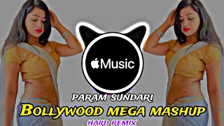 param sundari || param sundari remix || param sundari dj song