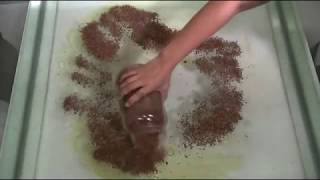 Mr Sorb - Absorption Av Diesel Och Motorolja I Vatten