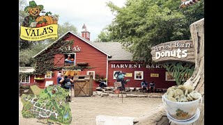 The Most Outrageous Pumpkin Patch ever,   Vala's Pumpkin Patch & Apple Orchard  Omaha Nebraska