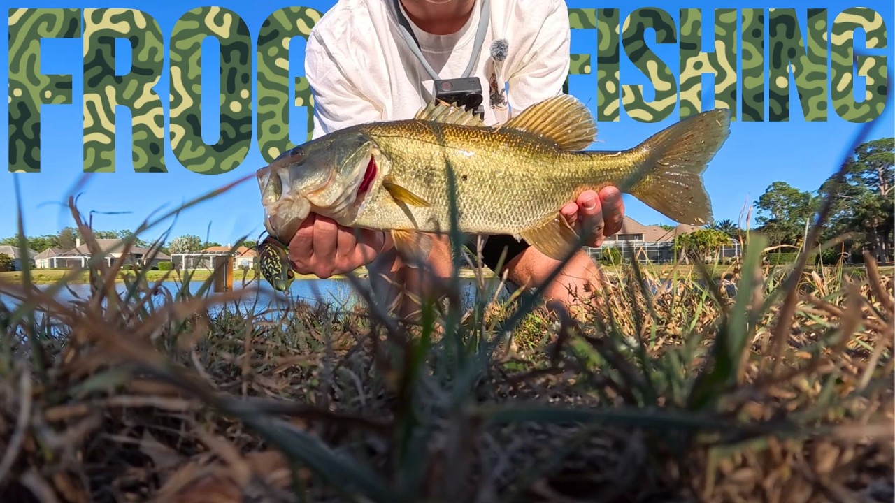 They Were SMASHING The Frog! – Topwater Bass Fishing in Florida Ponds