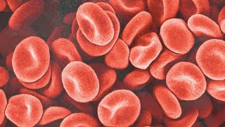 Unlocking the Mysteries of Blood Measurements (5 Minutes)