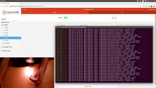 How to add an Ikea Zigbee remote to OpenHAB3 using zigbee2mqtt (on/off, brightness and color temp)