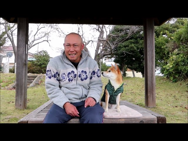 だましだまされ柴犬生活