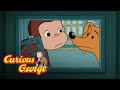 Cat Mother 🐵 Curious George 🐵Kids Cartoon 🐵 Kids Movies 🐵Videos for Kids