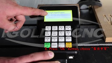 How to change the language of DSP A11 system