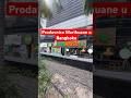 Prodavnice Marihuane u Bangkoku