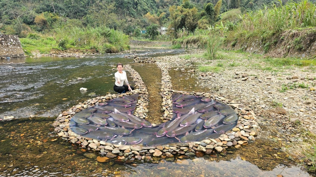 Ana cleverly stacked rocks on top of each other to create a unique fish ...