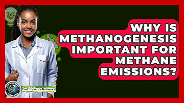 Why Is Methanogenesis Important For Methane Emissions? - Earth Science Answers
