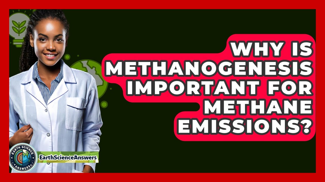 Why Is Methanogenesis Important For Methane Emissions? - Earth Science Answers