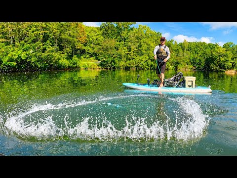 Everything You Need for a Successful Catfishing Trip