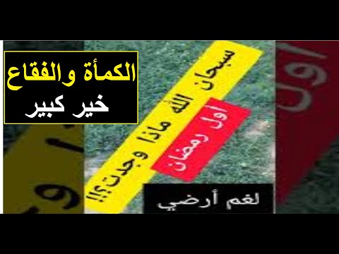 الكمأة نوع من المغذيات له فوائد صحية الخير موجود سبحان الله وأحي الأرض بعد موتها