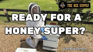 BEEKEEPING: Is Your Hive Ready For It's First Honey Super?