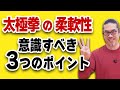太極拳と身体の柔軟性・ポイント【深掘り太極拳レッスン】心地良い中村げんこうの太極拳、簡化24式太極拳・初心者からベテランまで誰でも気軽にできる太極拳・健康・瞑想・養生・陰陽・癒し・気功・精神・体操