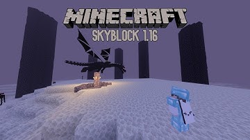 Epic Ender Dragon Fight! 1.16 Skyblock [Part 14]