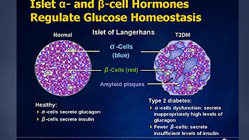 Section 3 Unit 1    Endocrinology Pt 1