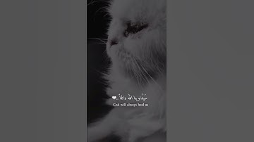 القرآن الكريم بصوت العفاسي || حالات واتس اب قرآن حالات واتس اب دينية هادئة ستوريات