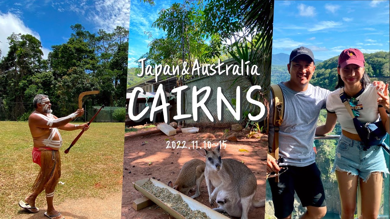 호주 케언즈 알차게 즐기기! 쿠란다 투어, 라군, 퍼블릭바베큐, 캥거루&코알라 보다🦘