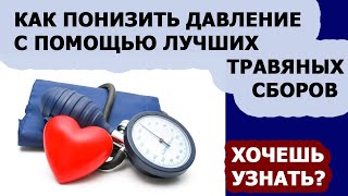 Гипертония. Травы для лечения гипертонической болезни
