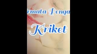 Airmata Pengantin - Kriket