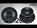 Dynamic State PM-200.3 PRO Series мидвуфер 8, распаковка, обзор, прослушивание в зя и фи