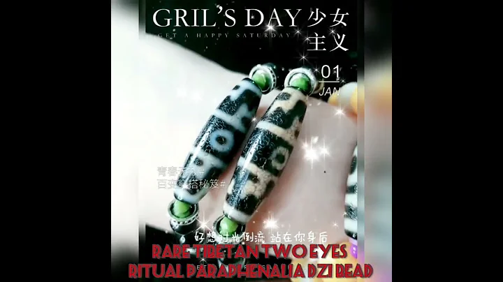 Rare Tibetan Two Eyes Ritual Paraphenalia Dzi Bead~