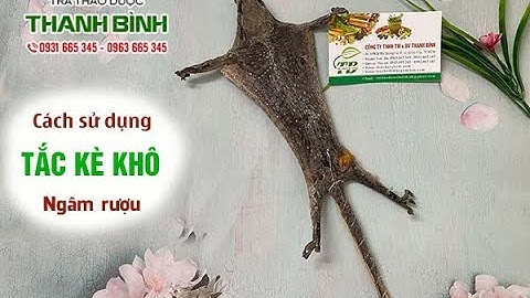 Tắc Kè Khô Ngâm Rượu | Công dụng của tắc kè khô ngâm rượu