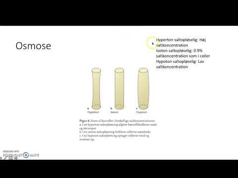 Video: Hvorfor har cellemembranen brug for transportproteiner?