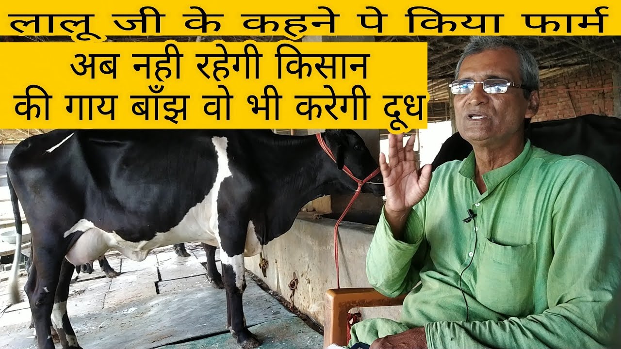 Dairy farming business plan pdf india image