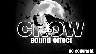 Crow sound | night crow sound | crow sound effect | free | no copyright #crow screenshot 5