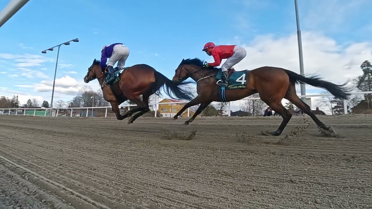 Øvrevoll Galopp 27.04.2023. Løp #1 kl. 18:15, 3-ÅRSLØP (1100dt)