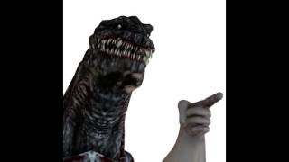 lizard
