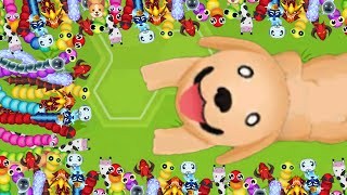 Angry Snake Hunter In Snake.io #6 screenshot 5