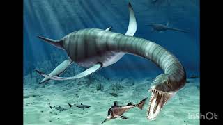 Museum of Natural History 26th of April 2026 plesiosaurus fact