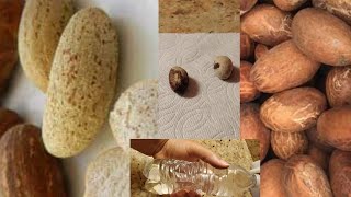 can bitter kola mixed with water instead of h0t drink help you last longer