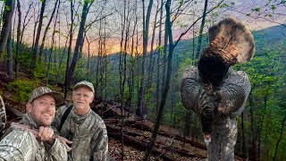 Public Land MARYLAND Turkey Hunt!