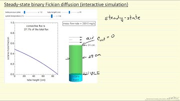 Steady State Binary Fickian Diffusion (Interactive Simulation)