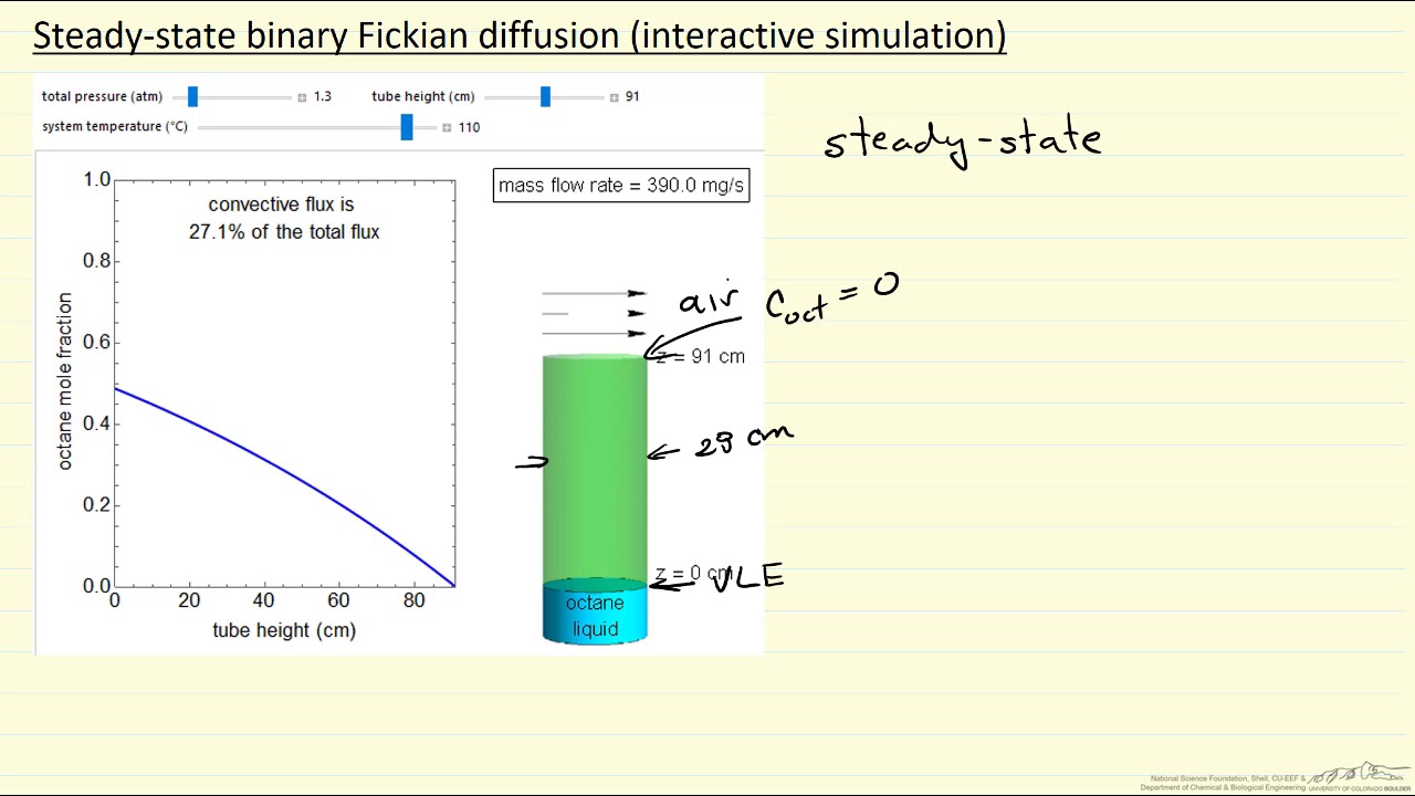 Steady state