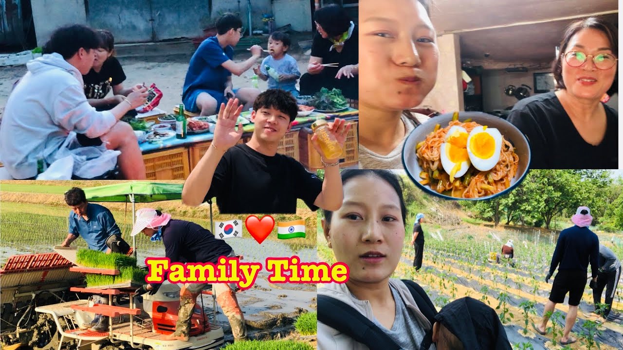 Family time/Rice planting/Eigi Emungsu Manipuri ngangba heidoure😄🇰🇷❤️🇮🇳