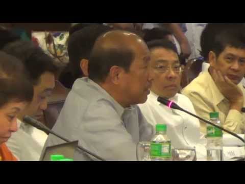 Abad accused of ‘curing’ SC decision on DAP